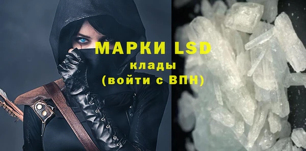 индика Костерёво