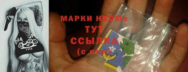 индика Костерёво
