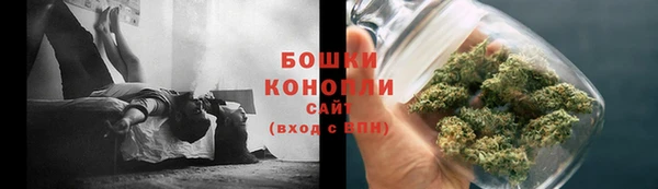 индика Костерёво