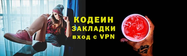 индика Костерёво