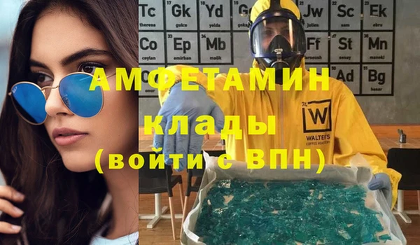 индика Костерёво