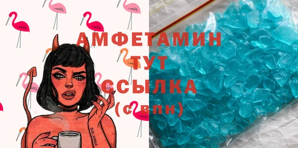 индика Костерёво