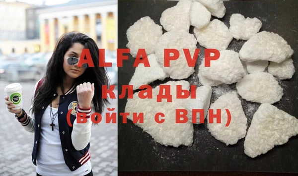 индика Костерёво