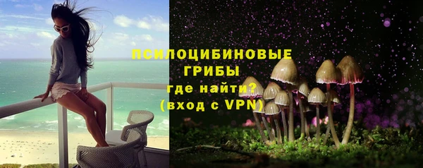 индика Костерёво
